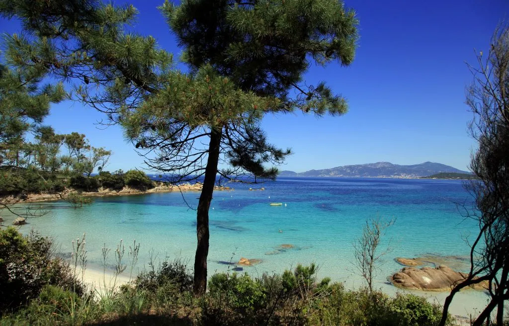 Pinède et mer cristalline plage d'Argent